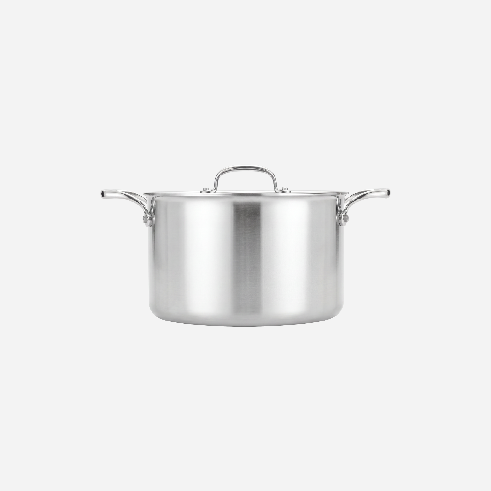 Titanium Series 8 Quart Stock Pot with Lid