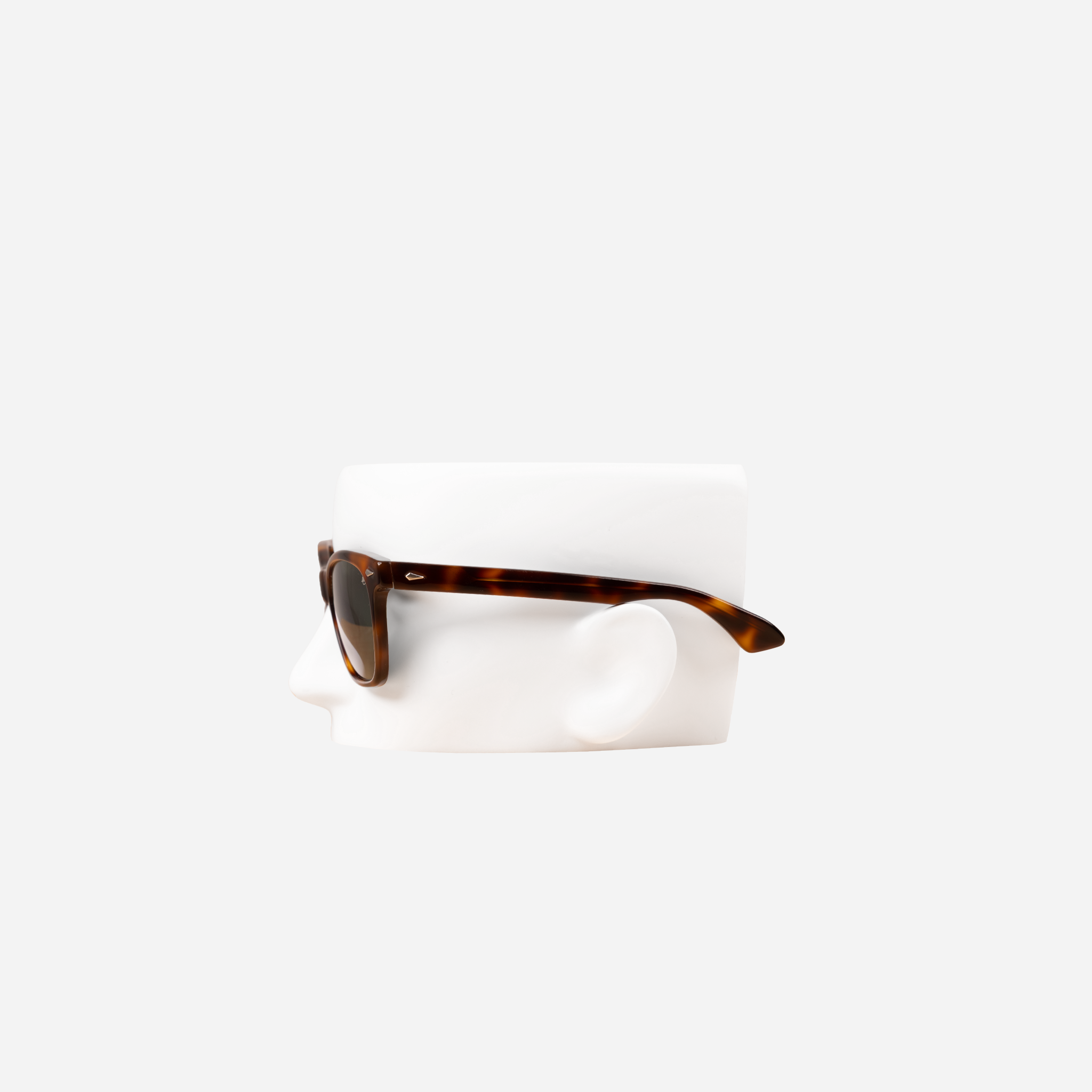 Saratoga Sunglasses — Tortoise
