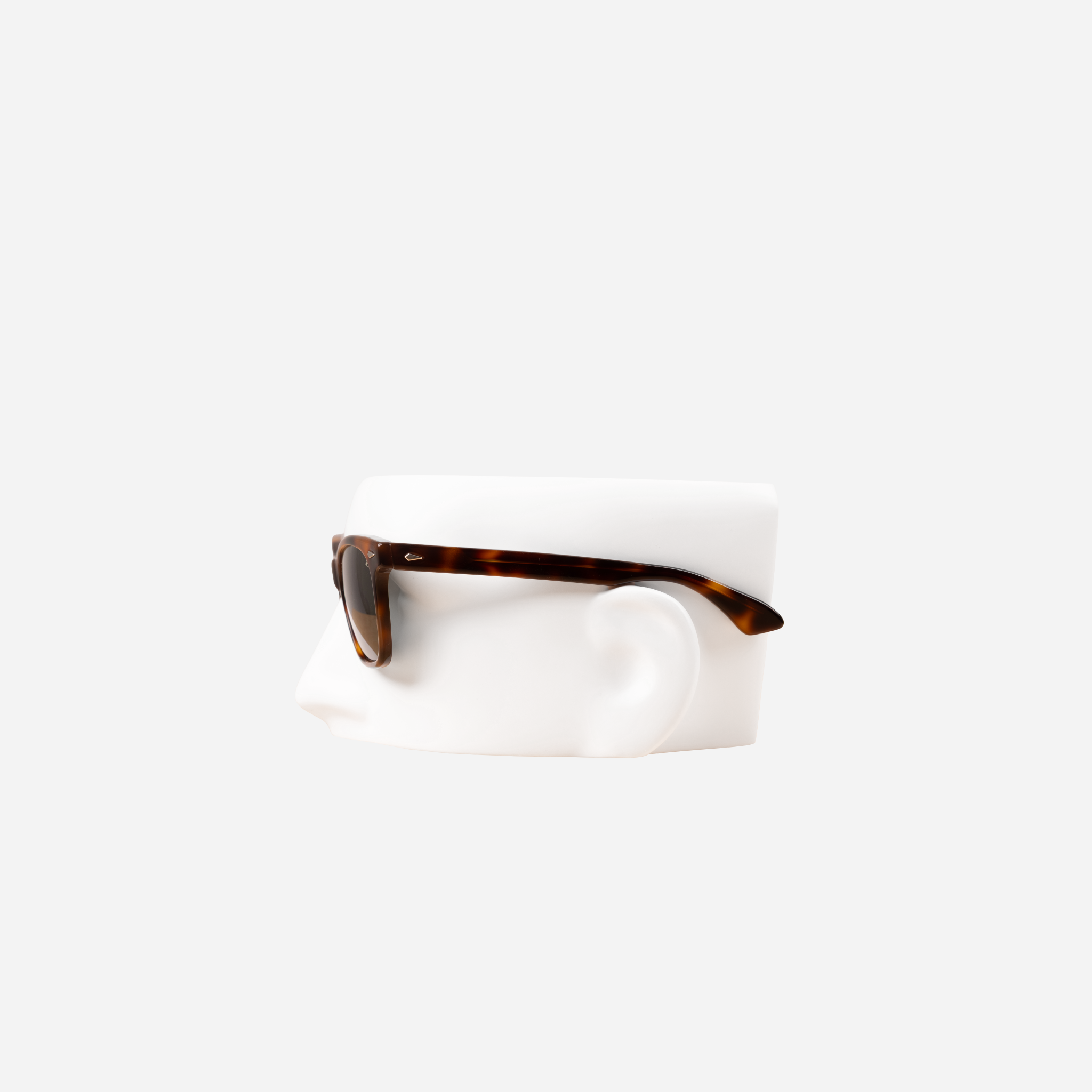 Saratoga Sunglasses — Tortoise